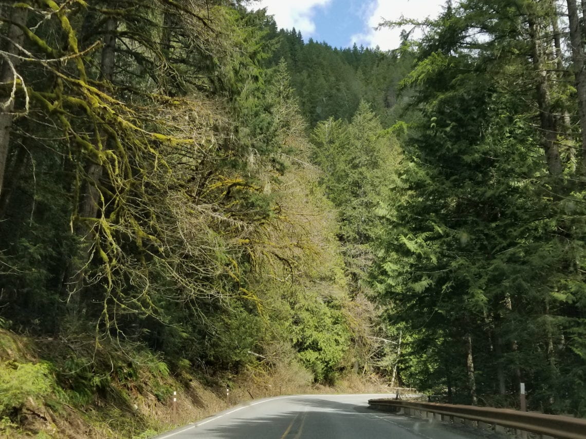 2018-04-22 06.34.00 1.jpg