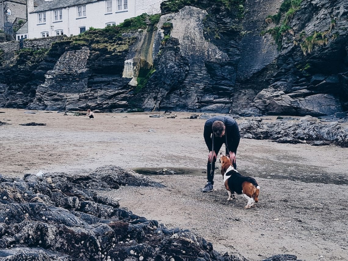 2017-04-16 05.56.05 1.jpg