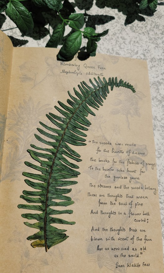 Processed with VSCO with g3 preset